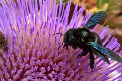 cropped-WP_20160724_12_08_47_Rich-1-780x439