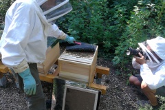 IMG_20220725_102118