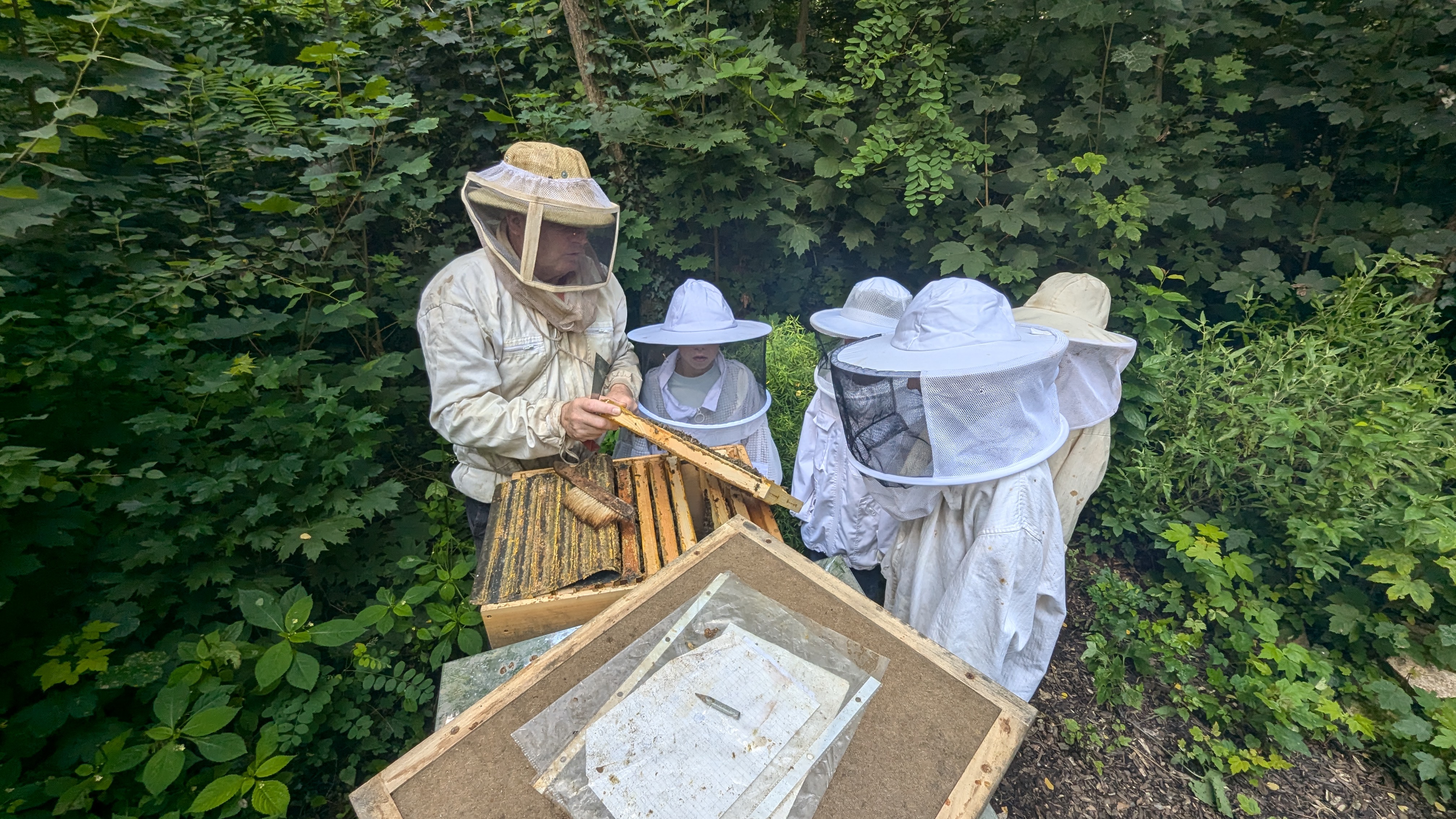 Sommerferienspiele: Abenteuer Bienenwelt – Imkern zum Anfassen!