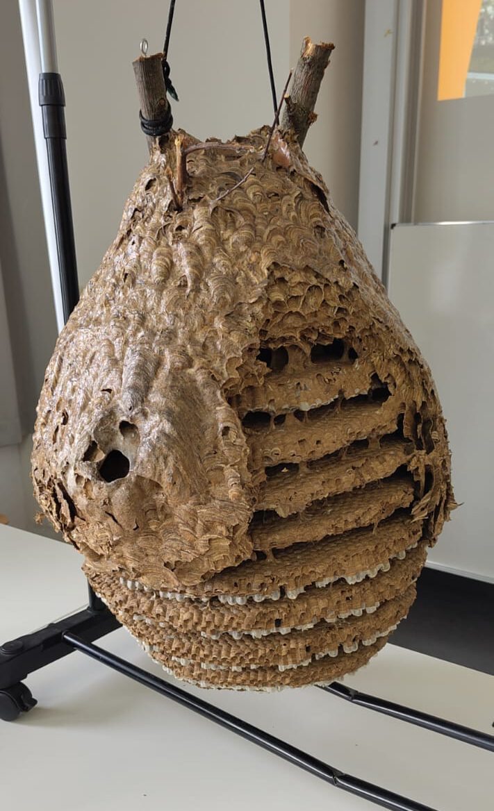 Nestsuche mit neuester Technologie